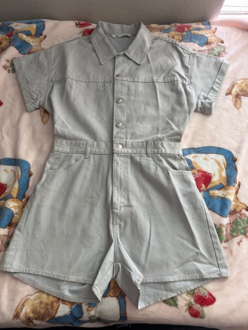 Zara Light Sage Short Sleeve Top